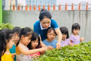 Các nhà giáo đề xuất các chính sách về tiền lương để đảm bảo nhà giáo sống được bằng đồng lương của mình.