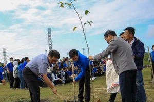 Đại học Huế trồng 1.000 cây xanh đầu Xuân Giáp Thìn 2024. 