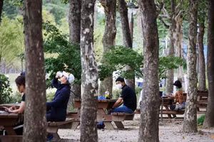 Người dân Hàn Quốc nghỉ ngơi tại một khu rừng.