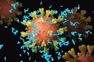 Phát hiện mới có thể dẫn đến việc cải thiện vắc xin và thuốc điều trị Covid-19.