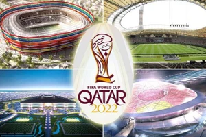 Tiết lộ tiền thưởng khủng tại World Cup 2022 