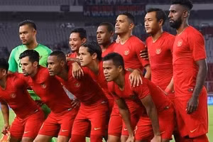 ĐT Indonesia đang đối mặt khó khăn trong công tác chuẩn bị cho AFF Cup 2022.