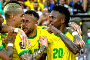 Trận Brazil và Cameroon được dự báo sẽ vô cùng hấp dẫn và kịch tính.