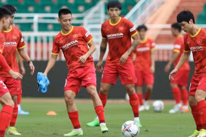 Tuyển Việt Nam sẽ dự AFF Cup sau World Cup 2022.