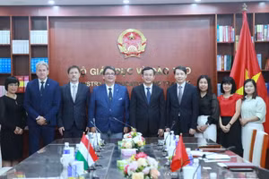 Các đại biểu tại buổi làm việc.