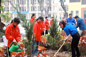 Giáo viên và học sinh Trường Tiểu học Mê Linh (huyện Mê Linh, Hà Nội) trồng cây trong sân trường.