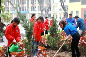 Giáo viên và học sinh Trường Tiểu học Mê Linh (huyện Mê Linh, Hà Nội) trồng cây trong sân trường.