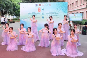 Học sinh Hà Nội biểu diễn tại buổi giao lưu.