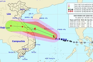 Theo dự báo, cơn bão số 5 sẽ đổ bộ và ảnh hưởng trực tiếp từ tỉnh Quảng Bình đến Quảng Ngãi trong 36h tới.