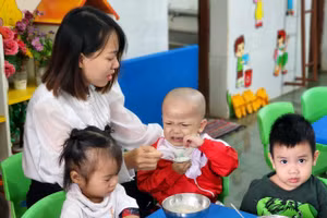 Giáo viên Trường mầm non Tân Lợi - TP Buôn Ma Thuột chăm sóc nhóm trẻ 2 tuổi. Ảnh: Thành Tâm. 