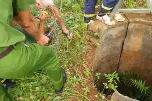 Lực lượng chức năng cứu thành công người đàn ông rơi xuống giếng sau 4 ngày (Ảnh: SĐ).