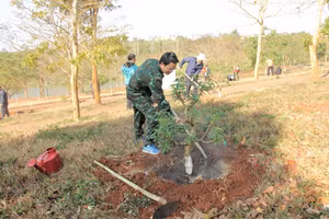 Ông Đặng Gia Duẩn trồng hoa đào tại khu vực hồ ông Diễn.