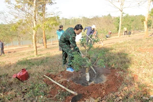 Ông Đặng Gia Duẩn trồng hoa đào tại khu vực hồ ông Diễn.