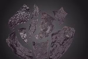 Da hóa thạch quý hiếm lâu đời nhất 130 triệu năm