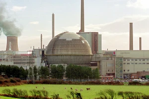 Đàn bò gặm cỏ ngay sát cơ sở tái chế hạt nhân Sellafield tại Cumbria, Anh