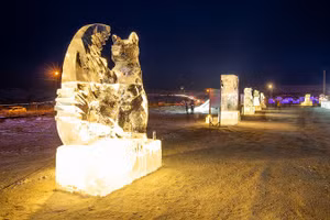 Tại lễ hội, 52 tác phẩm điêu khắc bằng băng được chạm khắc dưới hình dạng những chú gấu Gobi đang có nguy cơ tuyệt chủng của nước Mông Cổ.