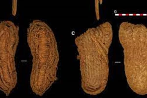 Những đôi dép cổ nhất thế giới