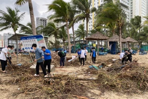 Thanh niên Đà Nẵng ra quân dọn dẹp bờ biển sau mưa lớn.