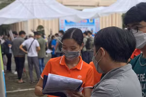 Các ứng viên nghiên cứu hồ sơ tại các chương trình "Ngày hội việc làm".