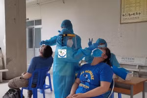 Giáo viên tại TP.HCM lấy mẫu xét nghiệm Covid-19 ngày 29/5. Ảnh minh hoạ 