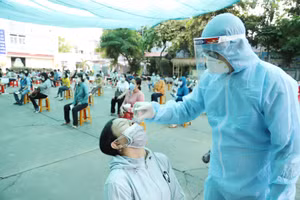 Xét nghiệm Covid-19 cho ban làm phách, giáo viên phục vụ công tác chấm thi tốt nghiệp THPT tại TP.HCM ngày 9/7. Ảnh minh họa 