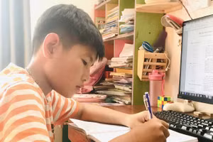 Học sinh TP.HCM học tập trên internet để hoàn tất chương trình năm học 2020-2021. Ảnh minh hoạ 