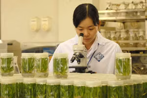 Sinh viên Trường ĐH Cần Thơ thực hành tại phòng thí nghiệm.