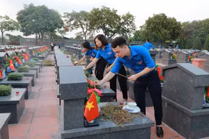 Ảnh minh họa Internet.