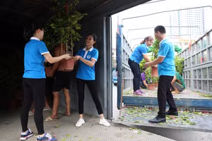 Tuổi trẻ cả nước chung tay gửi cây xanh và cờ Tổ quốc ra Trường Sa thân yêu.