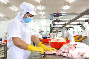 Nhiều lao động phải nghỉ Tết sớm do làn sóng cắt giảm lao động.