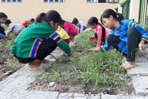 Thông qua lao động có thể giáo dục hướng nghiệp hiệu quả với học sinh tiểu học. Ảnh: Đức Trí