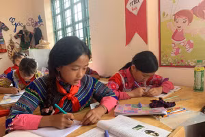 Học sinh Trường PTDTBT Tiểu học số 1 xã Sín Chéng (Si Ma Cai - Lào Cai). Ảnh: TG