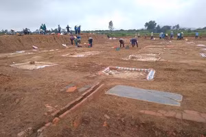 Ảnh minh hoạ IT.