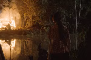 Nhiều phim Việt được công chiếu tại Liên hoan phim Pháp ngữ lần thứ 13