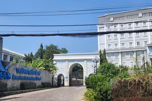 Ảnh minh họa/internet.