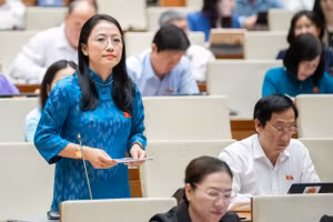 Đại biểu Trần Khánh Thu.