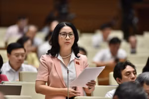 ĐBQH đề xuất giải pháp giảm phát thải khí nhà kính và giao dịch tín chỉ Carbon