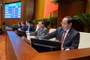 Các đại biểu Quốc hội biểu quyết thông qua Luật Các tổ chức tín dụng (sửa đổi).