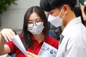 Ảnh minh họa/internet.