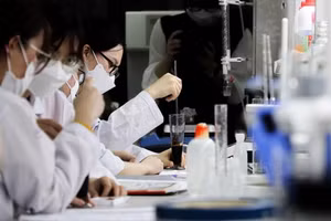 Ảnh minh họa/internet.