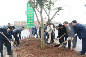 Sau lễ phát động, lãnh đạo Học viện Nông nghiệp Việt Nam và đại diện sinh viên tham gia trồng cây xanh trong khuôn viên Học viện.