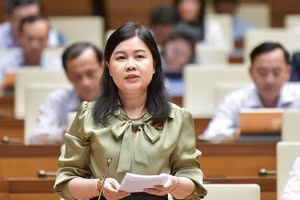 Đại biểu Nguyễn Phương Thủy (Đoàn ĐBQH TP Hà Nội) phát biểu.