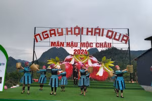 Tiết mục văn nghệ diễn ra tại ngày hội hái mận hậu.