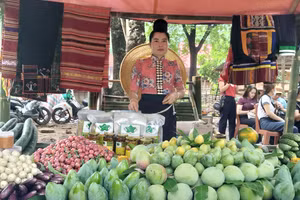 Gian hàng trưng bày xoài, để quảng bá đến người tiêu dùng.