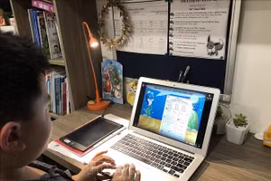 Ảnh minh họa/internet