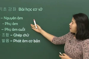 Ảnh minh họa/internet