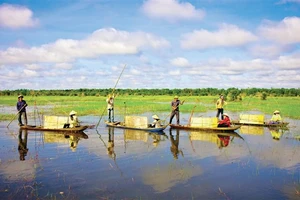 Săn cá trên đồng mùa nước nổi.