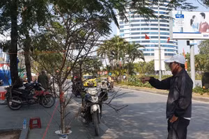 Chợ hoa trên đường Lê Hồng Phong thưa thớt người ghé mua.