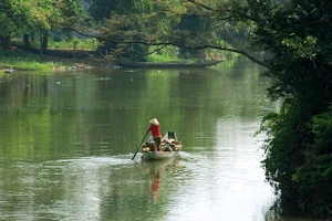 Ảnh minh họa/INT.