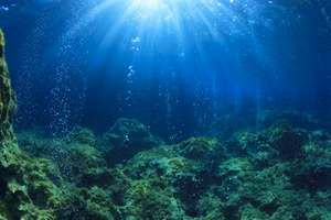 Hiểu biết của chúng ta dưới đáy đại dương của Trái đất ít hơn so với sao Hỏa.